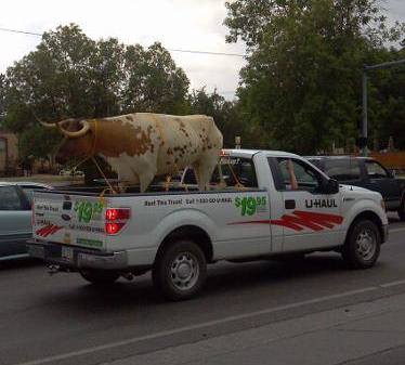 A True Truckload of Bull