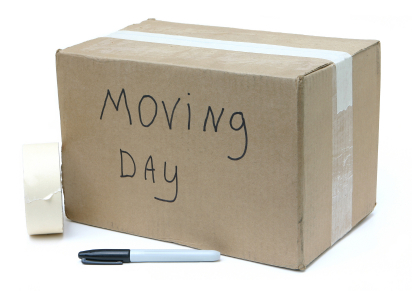 Being Realistic: How to Avoid Moving Day Disasters