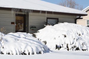 winterproof