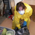 Storage Auction