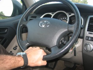 Picture 006