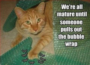 This cat can't resist the urge. Image from Funny Picture. 