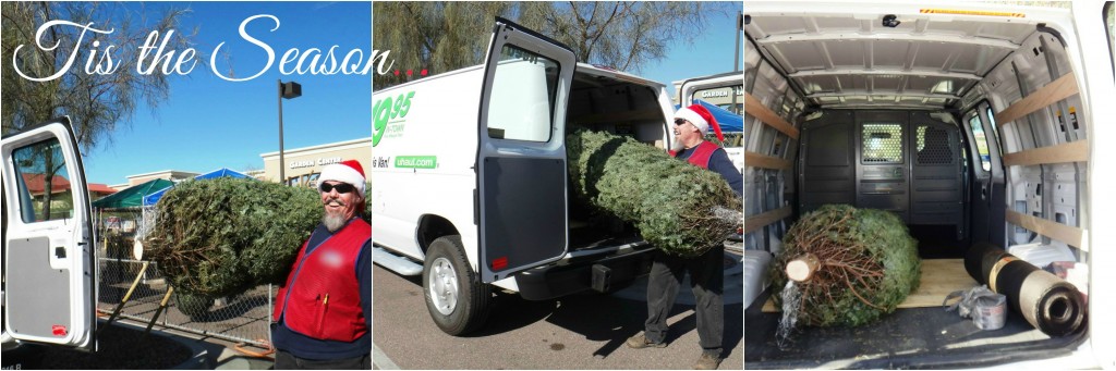 Learn various options on how transport your Christmas tree with care