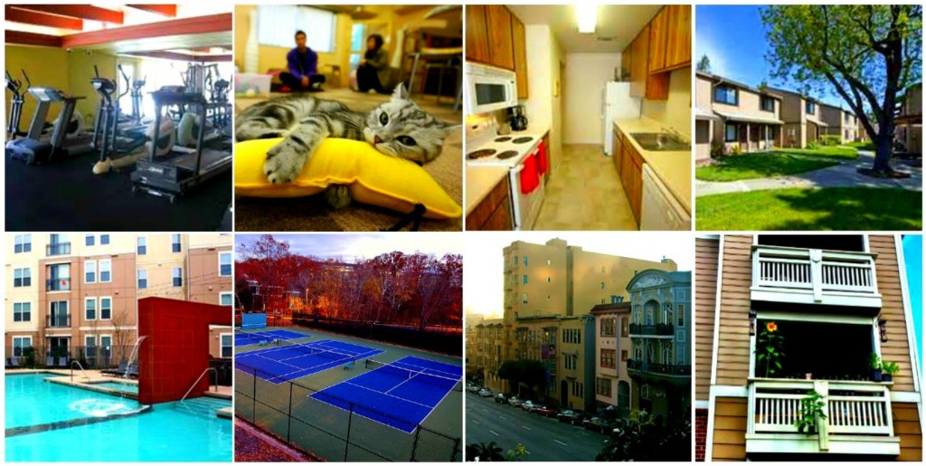 Apartment Amenities