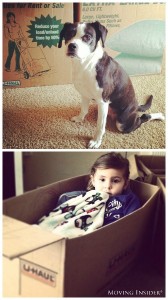 Prepping For New Home Sitter
