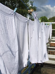 At the end of the year that poor towel was set free into the wild where he could roam free with the others