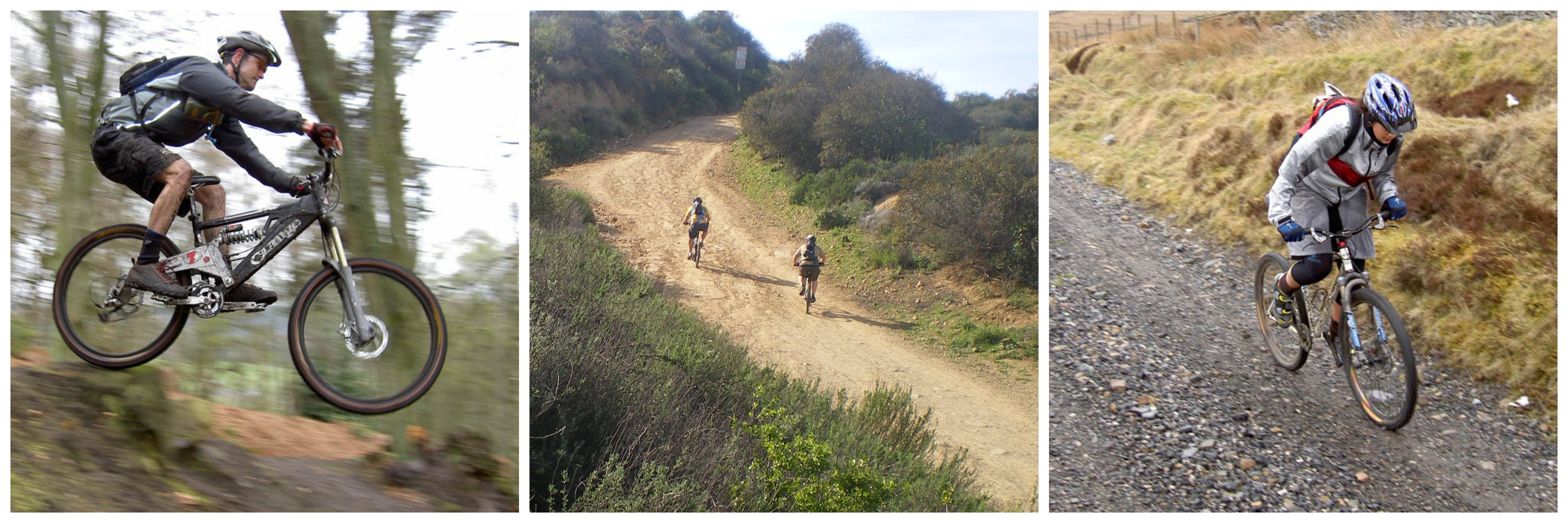 Mountain Bike Collage