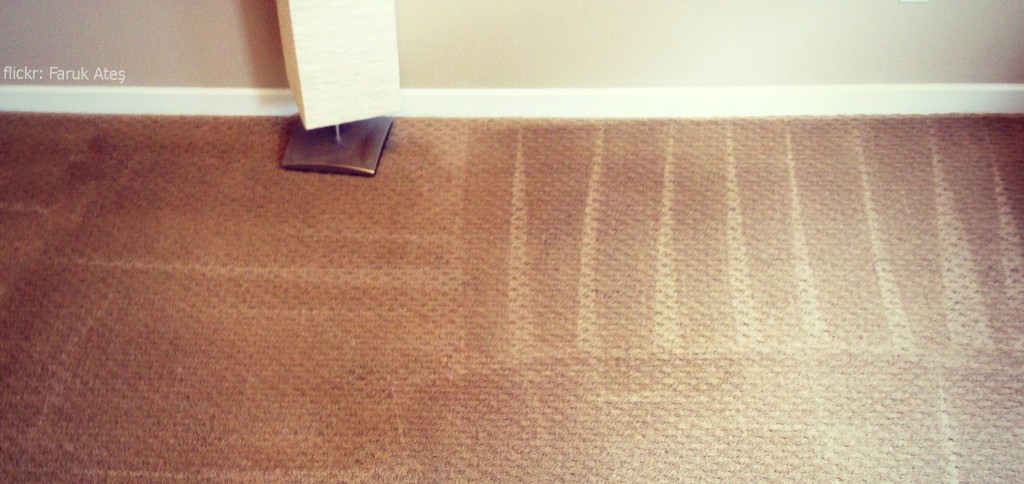 Cleaning Carpets