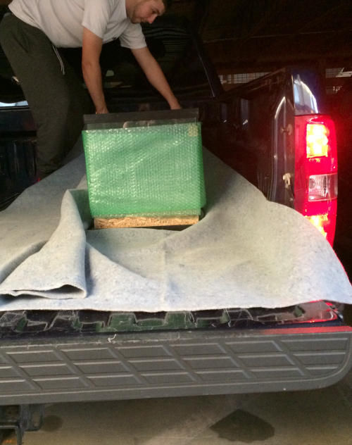 packing your pet terrarium