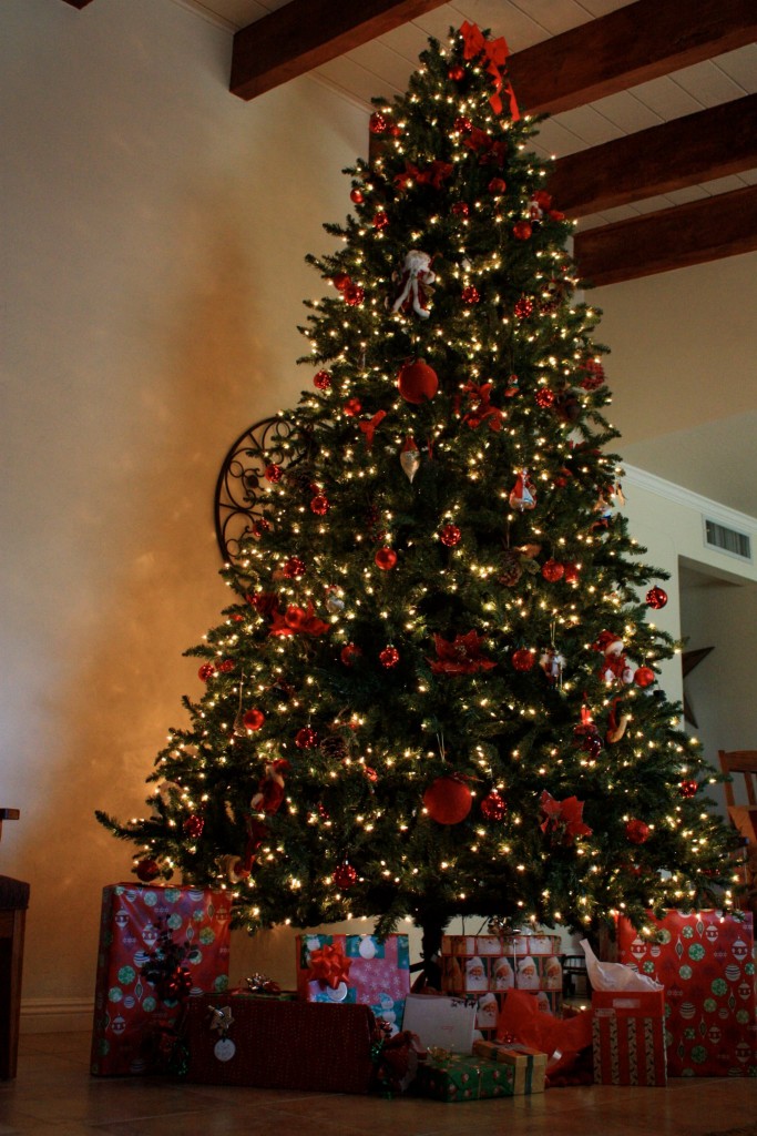 What to Do With Your Christmas Tree