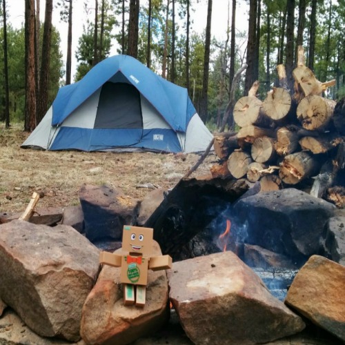 Top 5 Ways to Use Propane on Your Camping Trip