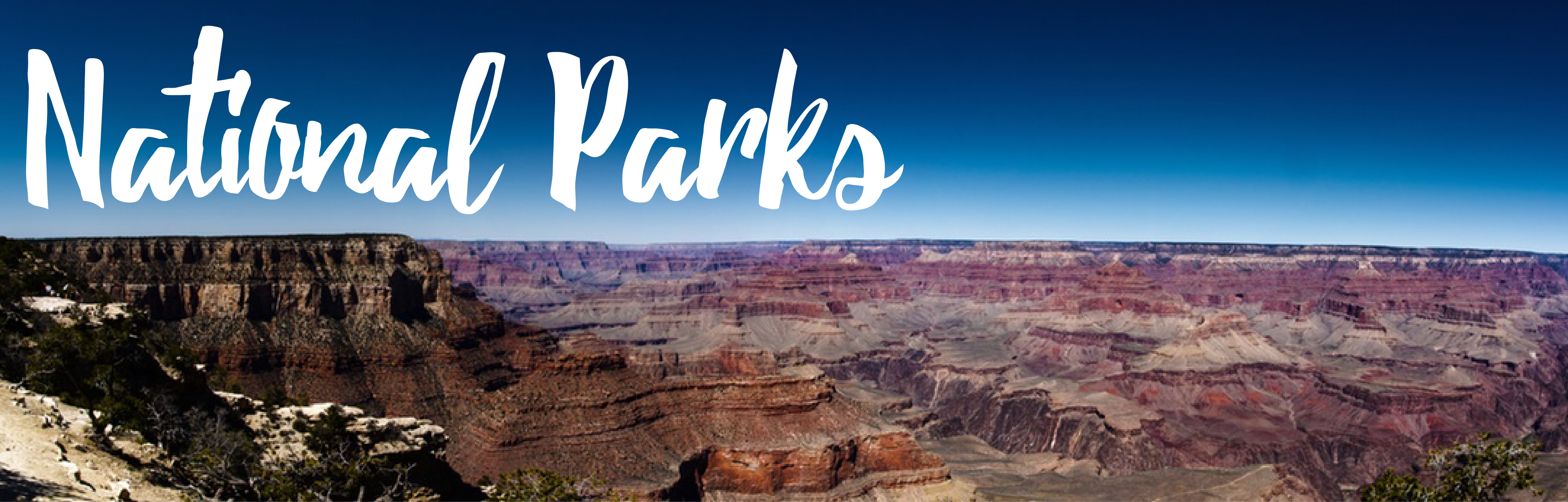 Spring Break Road Trips