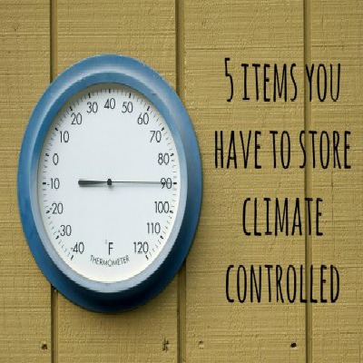 5 Items You Have to Store Climate Controlled