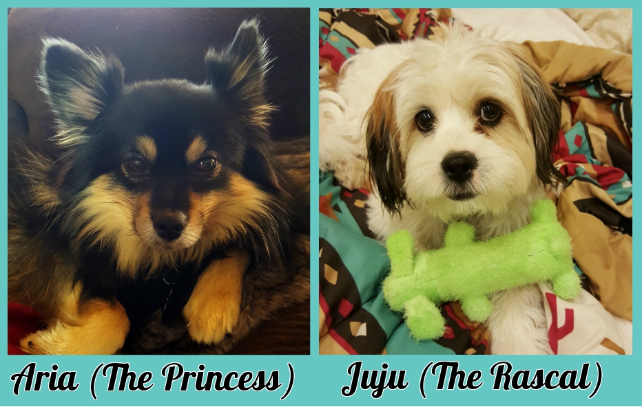 Prepping your House for a New Puppy