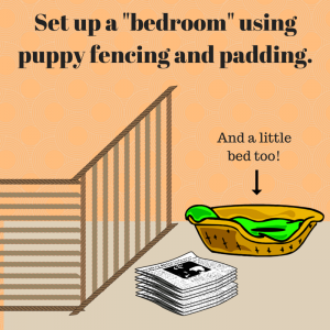 Prepping your House for a New Puppy