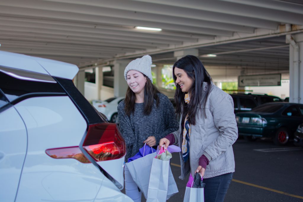 holiday transportation