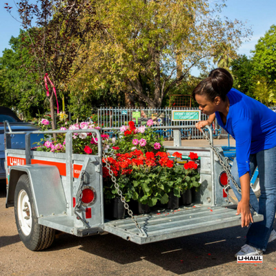 7 Ways to Use a Trailer for Your New Year’s Resolutions