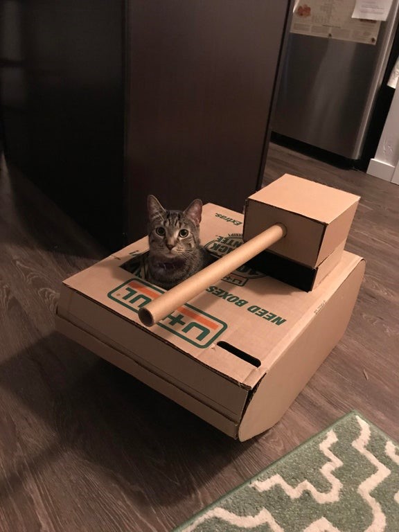 diy cat box house