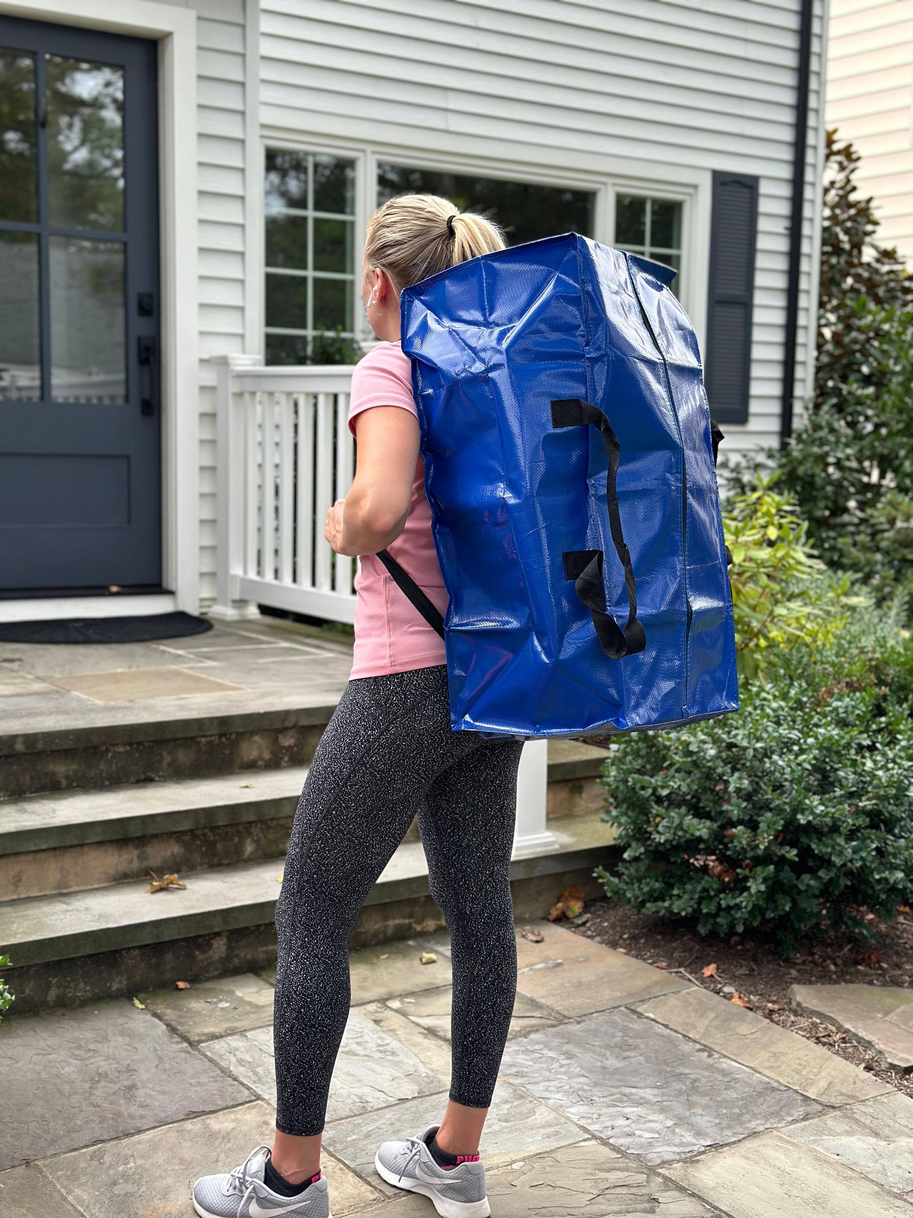 Halsted Durasack (set of 4) Moving & Storage bags Blue