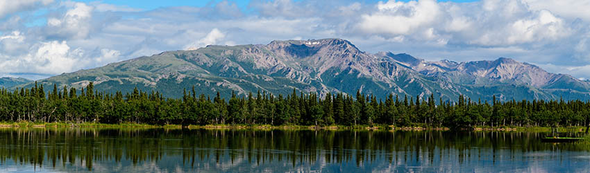 Alaskan Mountain Range