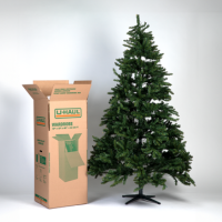 A Grand Wardrobe Box next to a Christmas Tree