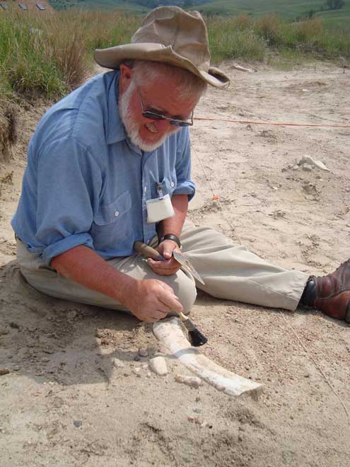 Ashfall discoverer Mike Voorhies works to uncover the leg bone of an ancient zebra.