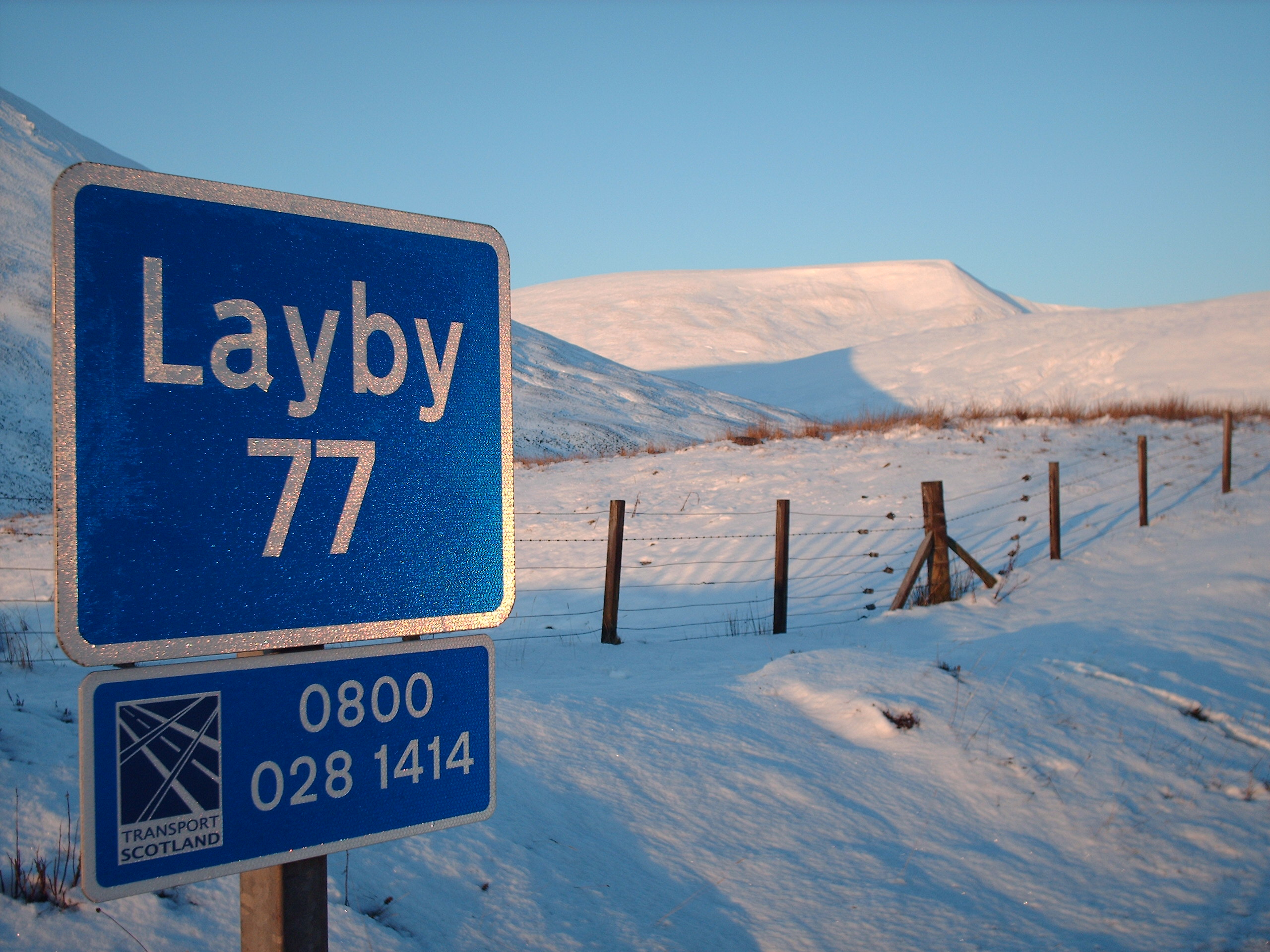 Keep the Blood Flowing: Exercises for Your Move