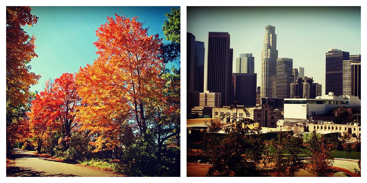 Quiz: Should You Live in the City or Suburbs?