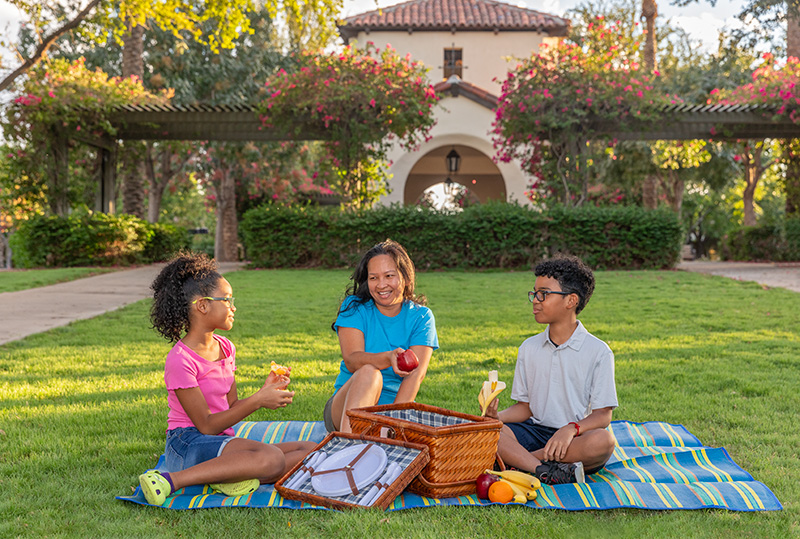 retirement family picnic