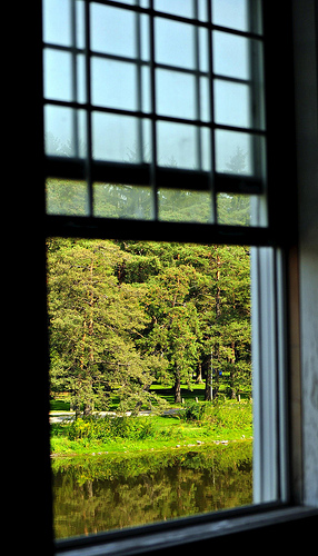 Repair or Replace: What to do When Your Home Windows Fail