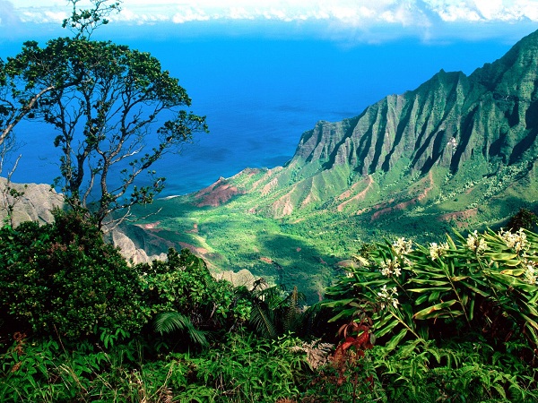 Moving to Hawaii: Kaua’i-The Garden Isle