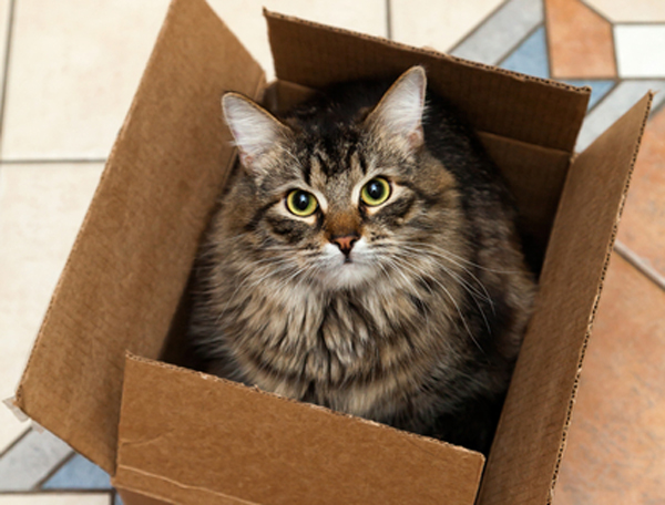 Hiring Moving Help Providers: Remember These Quick Tips