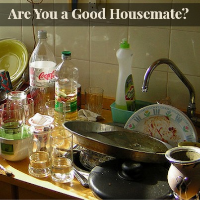 Tips for Being a Good Housemate