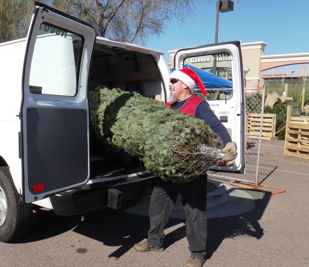 Transport Your Christmas Tree