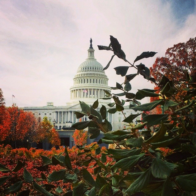 Moving to Washington DC: Part 2