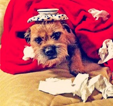 How To Move When Sick