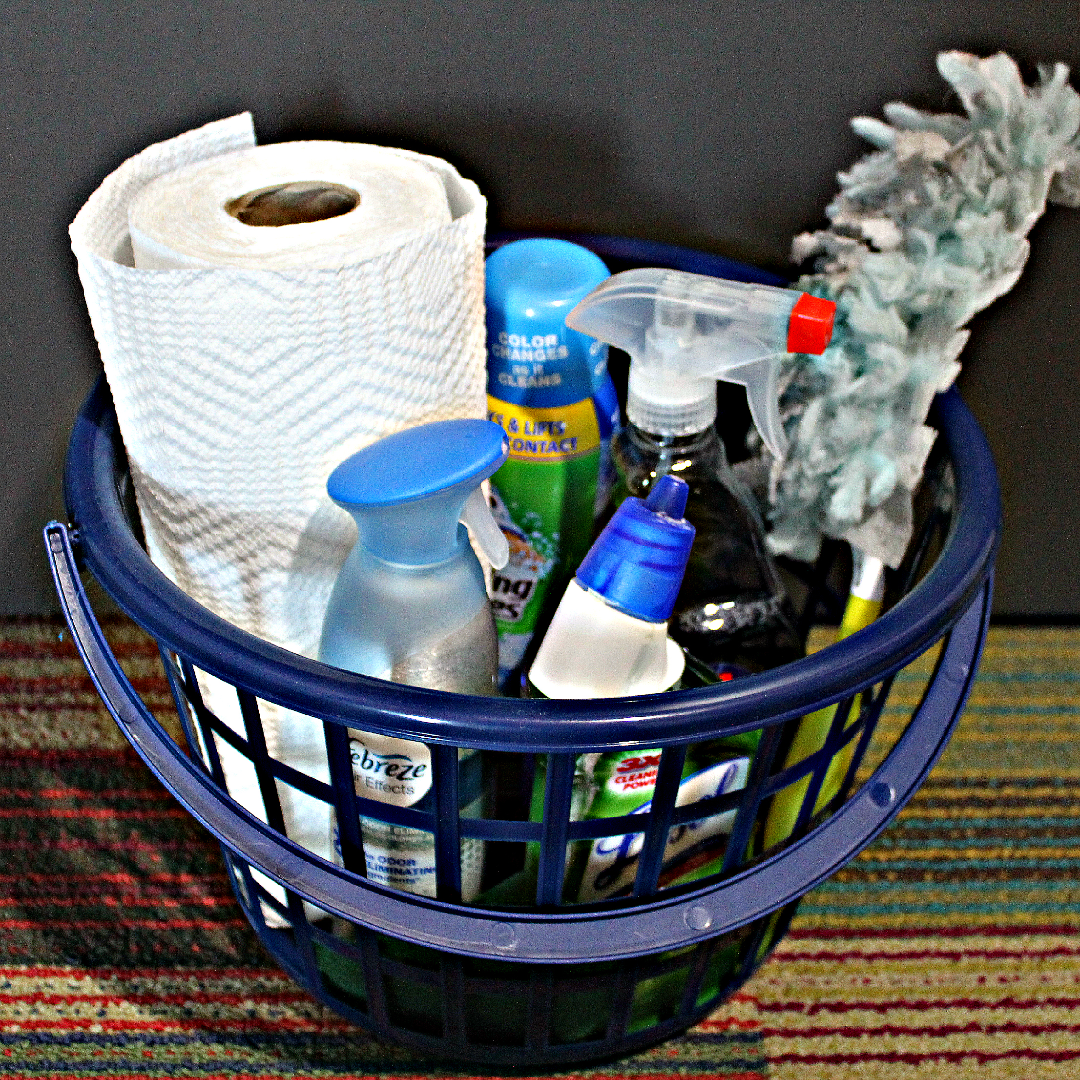 Spring Cleaning and Storage