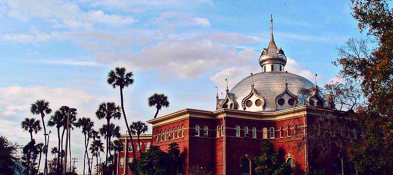 Moving to the University of Tampa