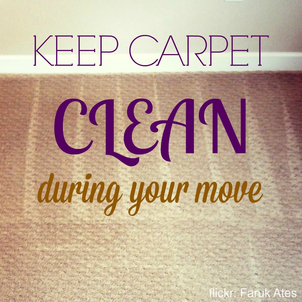 5 Reasons to Keep Carpet Clean During Your Move