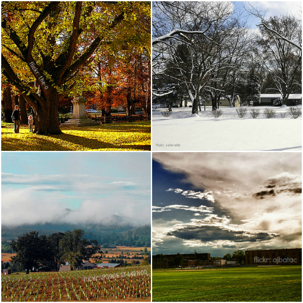 5 Cities to Watch the Seasons Change