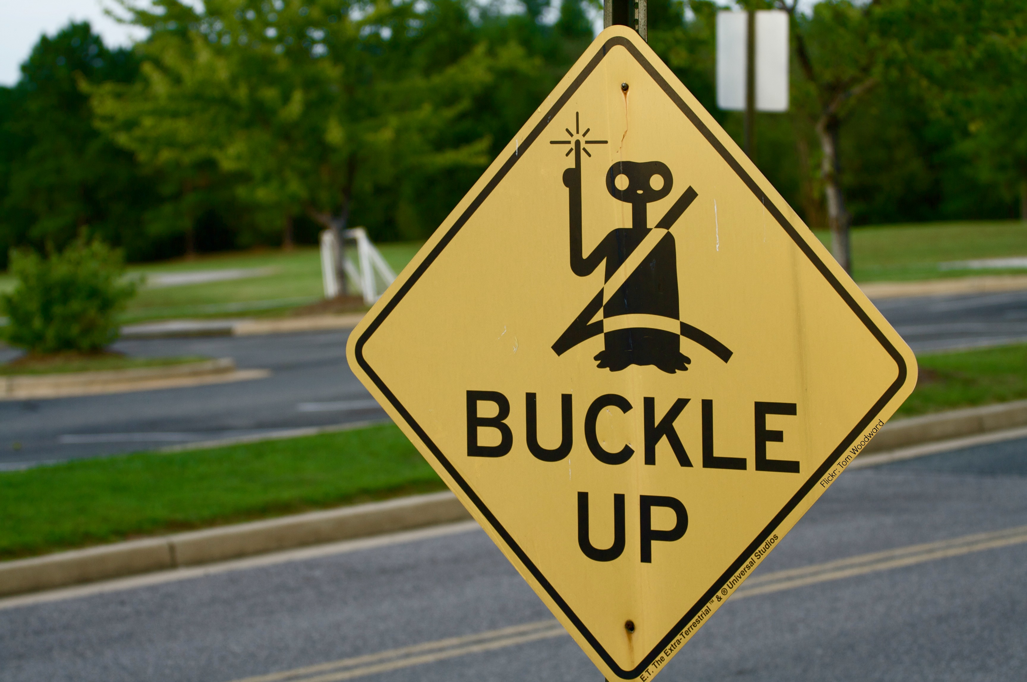 5 Shocking Seat Belt Statistics