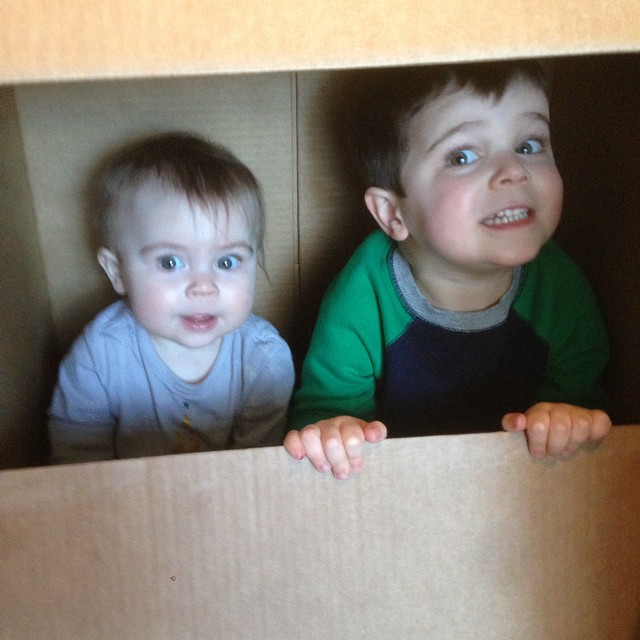 Funny Moving Day Pictures