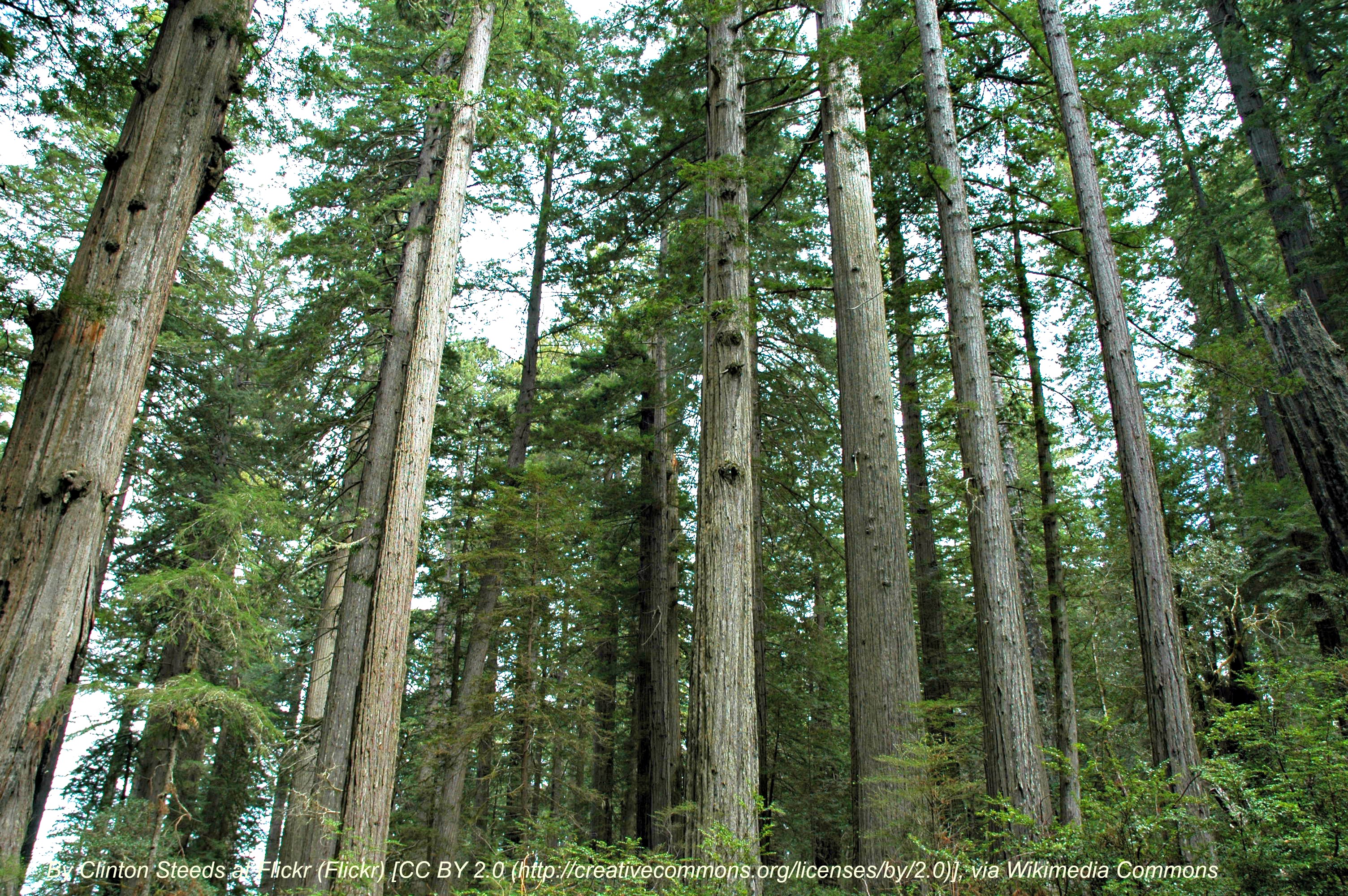 Top Five Trails to Explore after Your Move