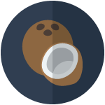 Coconut icon