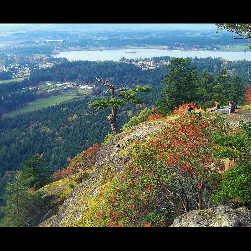 Moving to Duncan, British Columbia