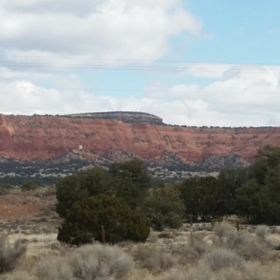 Moving to Albuquerque