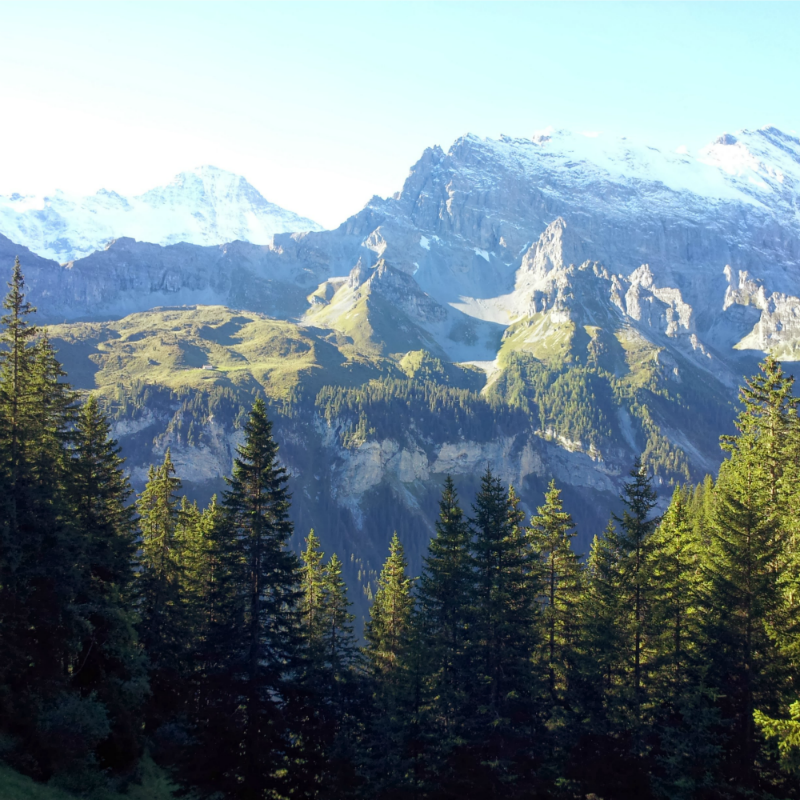 Five Common Camping Mistakes